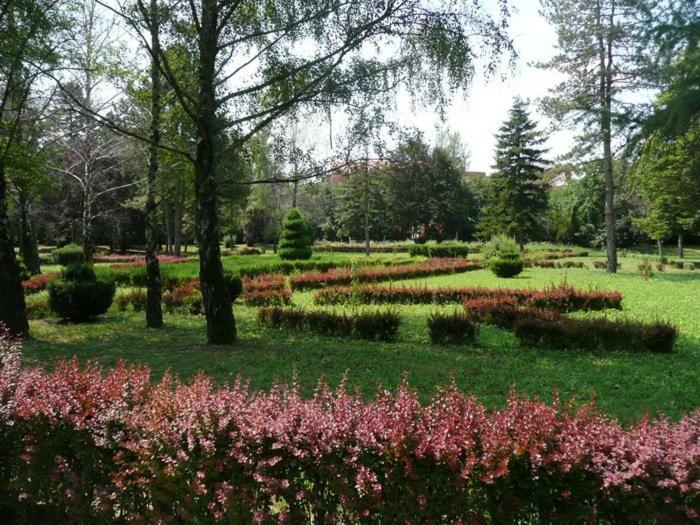 Apartman Ana Becej Екстер'єр фото
