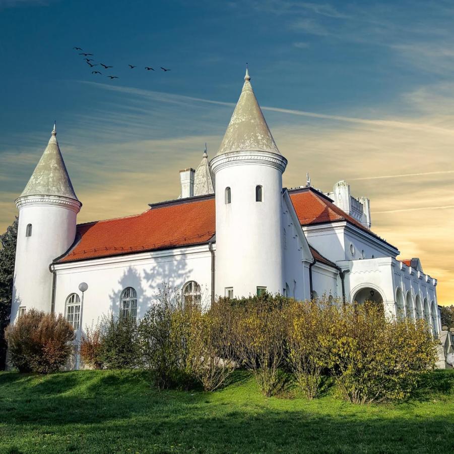 Apartman Ana Becej Екстер'єр фото